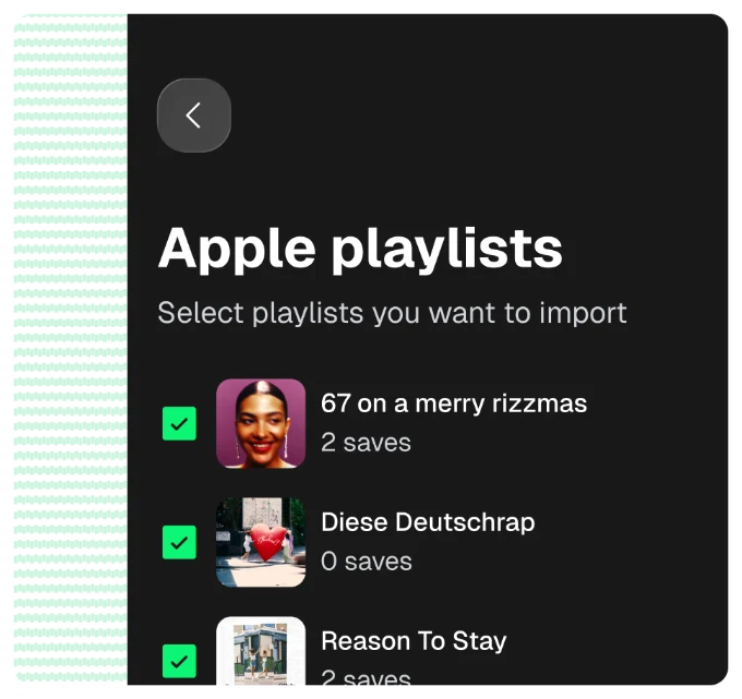 Apple playlists screen with playlists selected for import